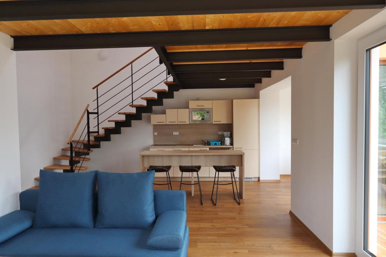 Apartmán Vanessa II Černá v Pošumaví Exterior foto
